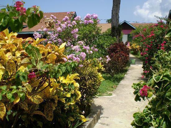 Summerset Residence Negril Esterno foto