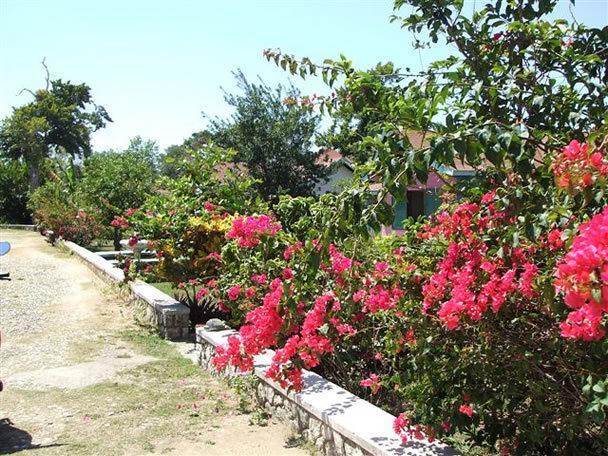 Summerset Residence Negril Esterno foto